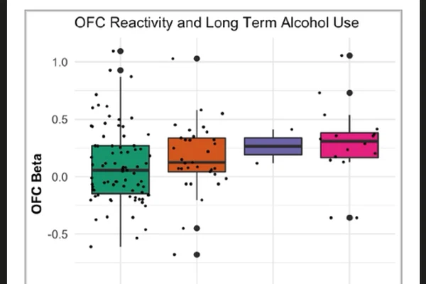 Predicting Self Regulation Across Adolescence