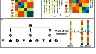 Reward Representations and Mindsets featured image
