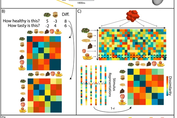 Reward Representations and Mindsets